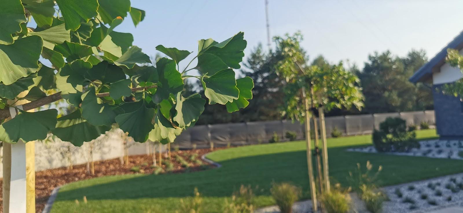 Jak przygotować ogród na wiosnę?
