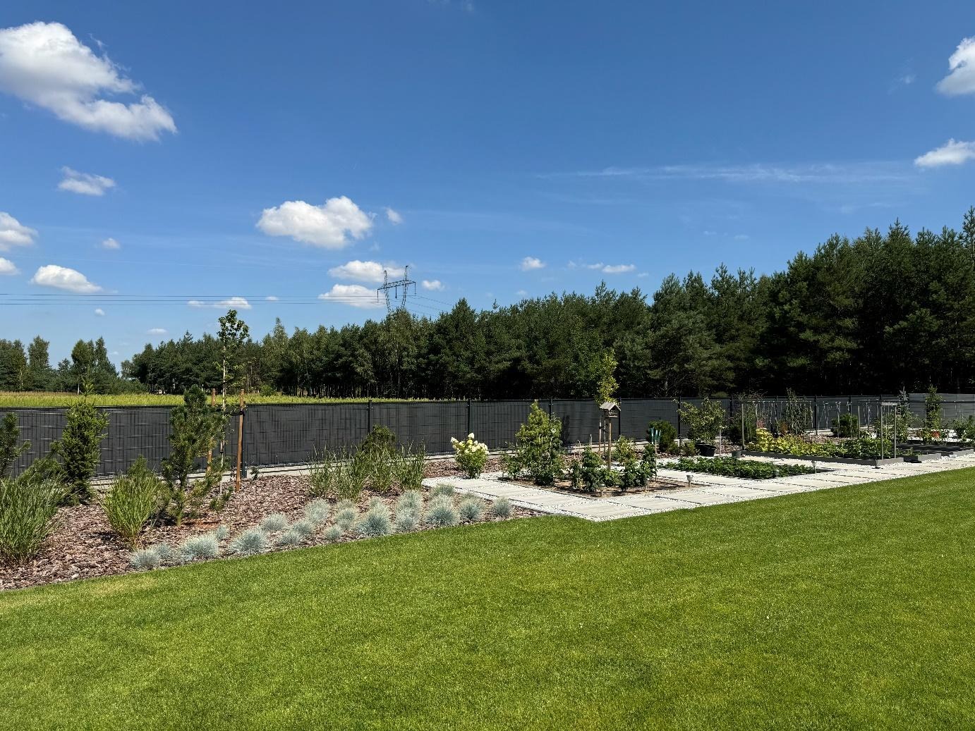 Jak zaplanować ogród od zera?