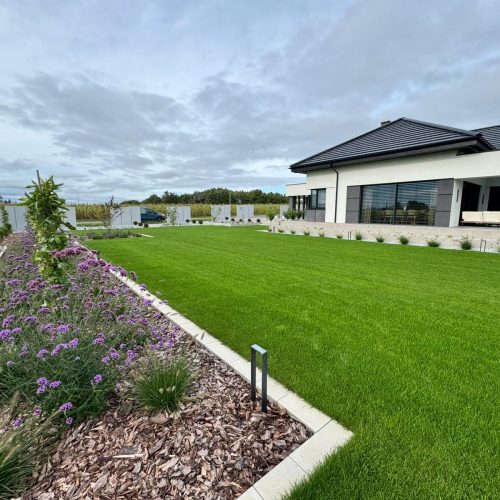 Ogrodnicze trendy 2026 – co będzie rządzić w ogrodach w tym sezonie?