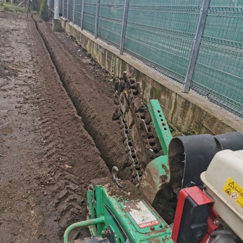 Na czym NIE warto oszczędzać w ogrodzie, a gdzie można ciąć koszty 