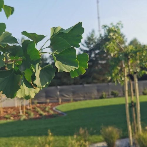 Jak przygotować ogród na wiosnę?